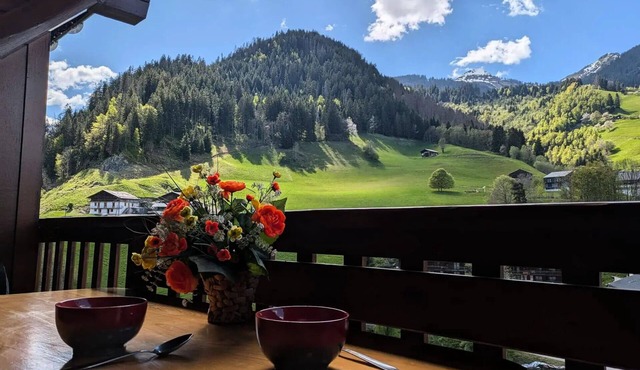 Residence Val Blanc 2 - Apartment * 6 pers. 40m2 (Law Carrez) - Village centre near ski lifts