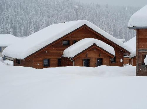 Snow