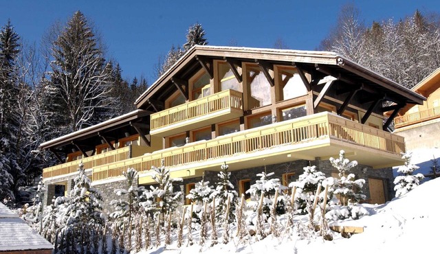 Stunning mountain-side chalet, 7-bedrooms, Pool & Spa