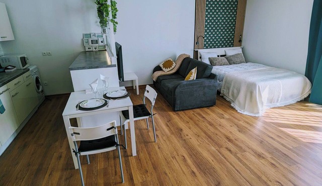 Superb Studio 45 m² Renovated with Balcony and Free Parking