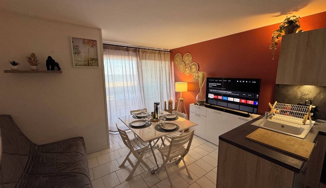 Tranquil 2 bedroom apartment in Canet-en-Roussillon WiFi, AC, sea view terrace