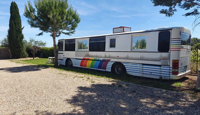 Unique Vacations in a Converted Bus