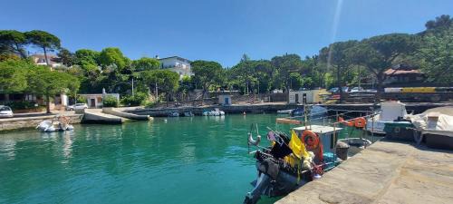 Villa Mira Bed and Breakfast in Duino