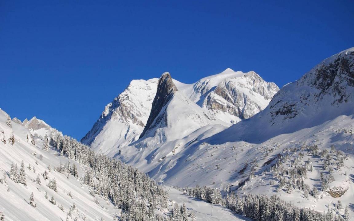 Photo of Others in Pralognan-la-Vanoise