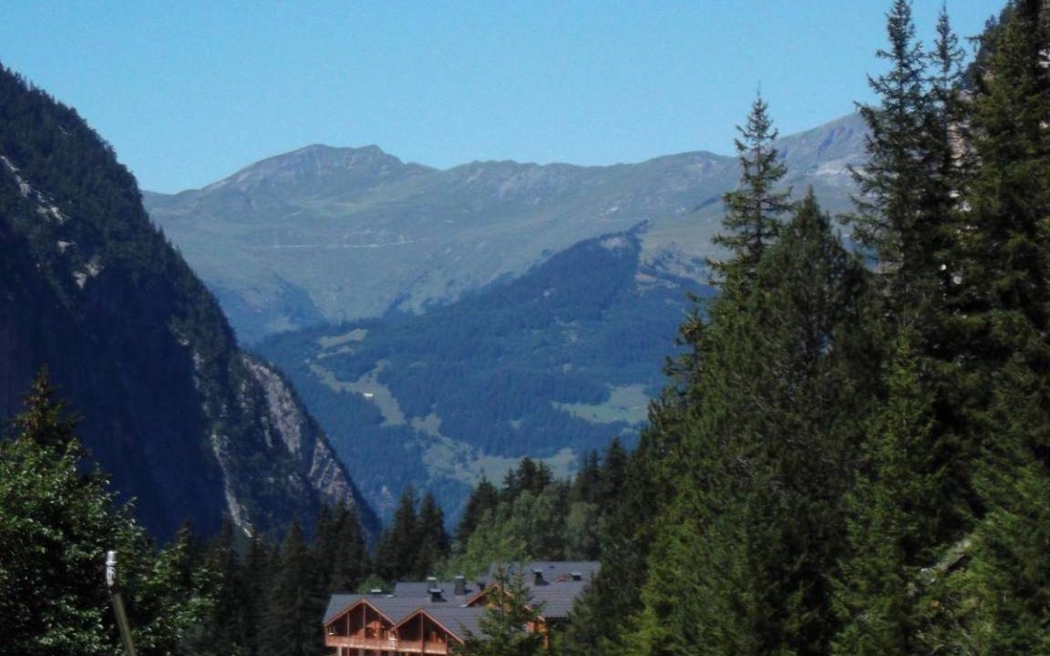 Photo of Others in Pralognan-la-Vanoise