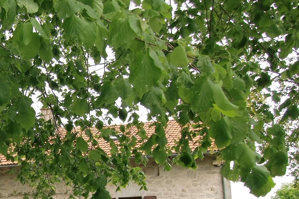 Photo of Outdoor in Roumegoux