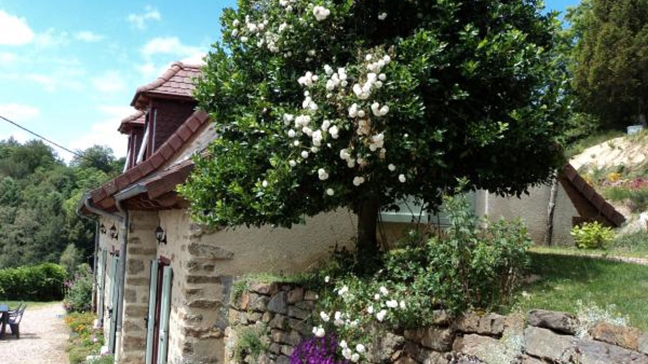 Photo of Outdoor in Chataigneraie Cantalienne