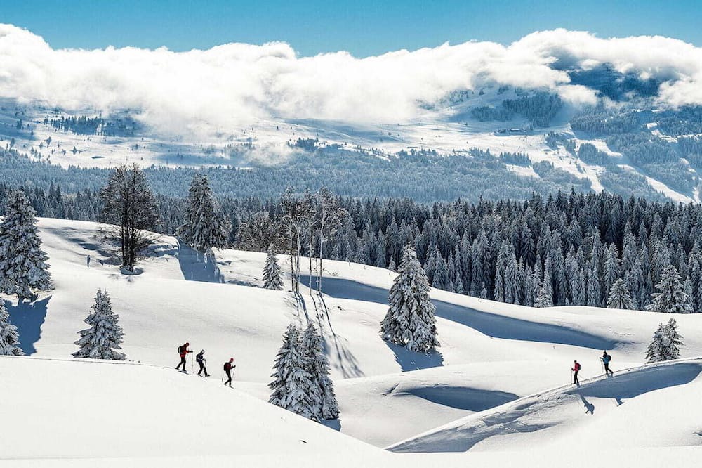 Photo of Others in Bois-d'Amont