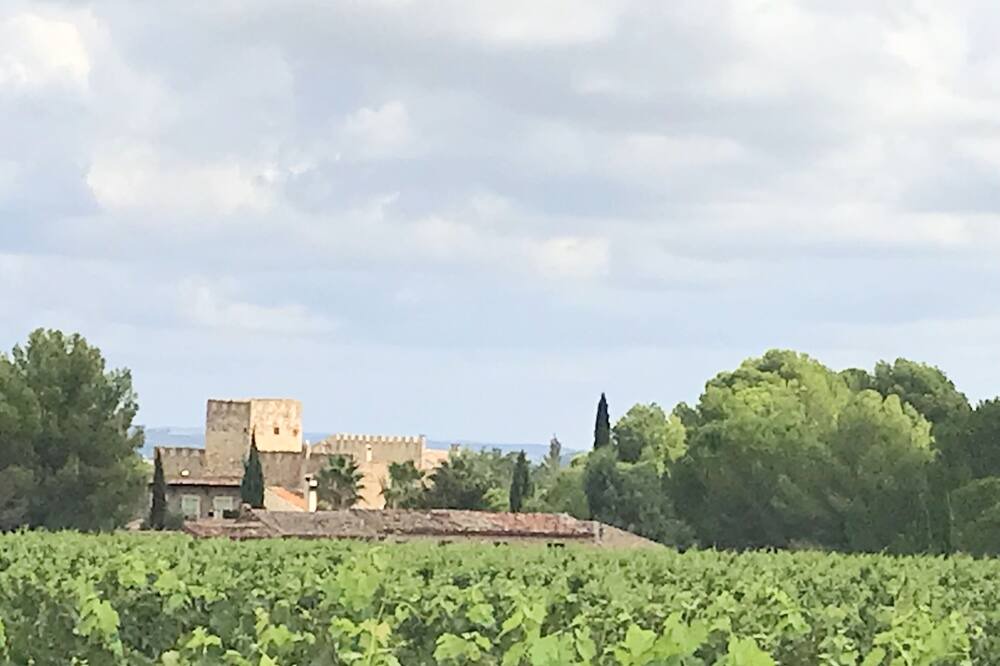 Photo of Others in Cazouls-les-Beziers