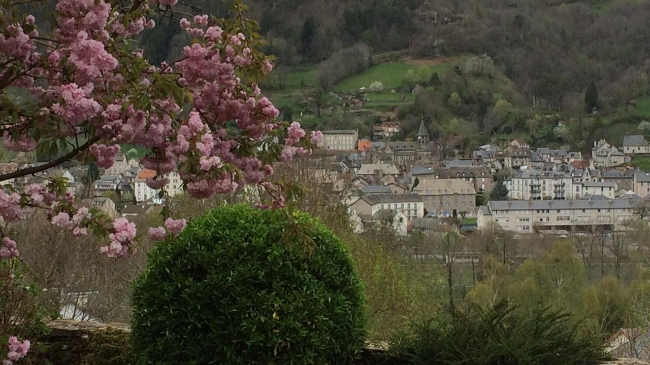 Photo of Outdoor in Vic-sur-Cere