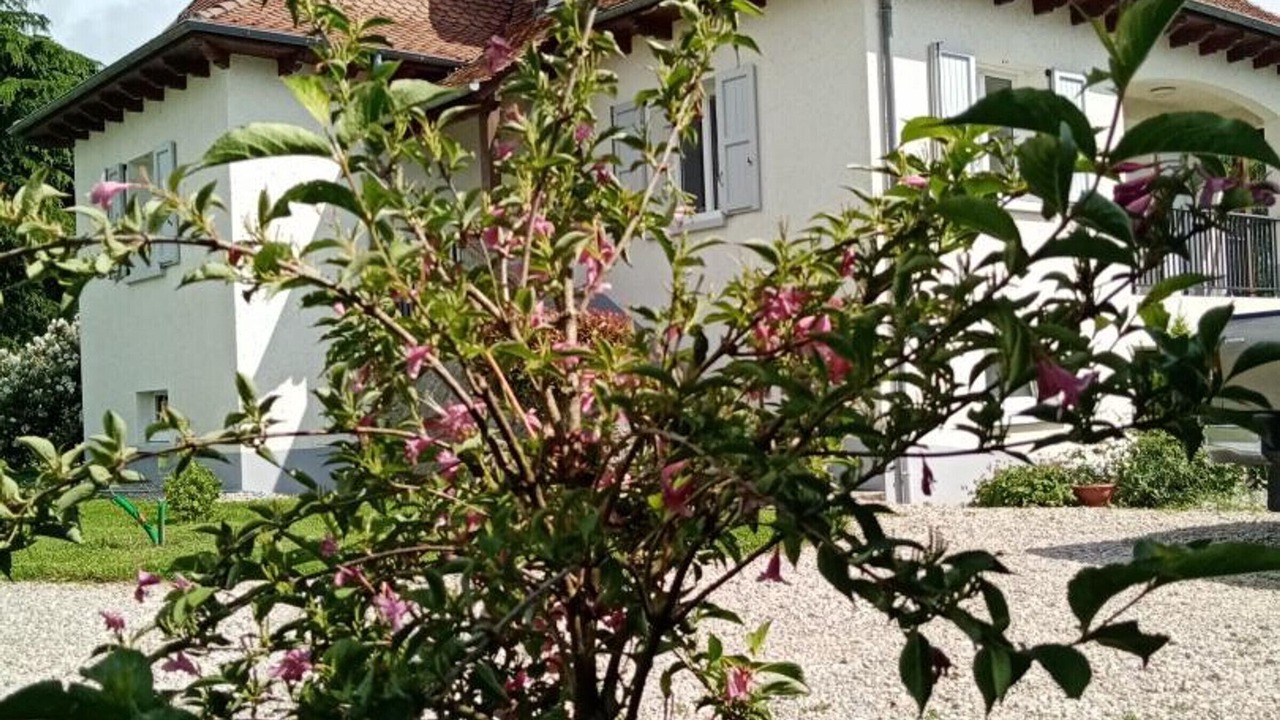 Photo of Outdoor in Arpajon-sur-Cere