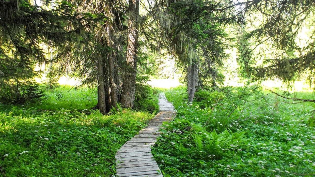 Photo of Outdoor in Notre-Dame-de-Bellecombe