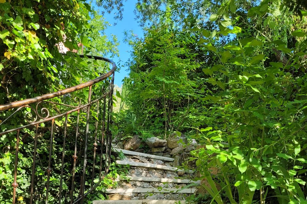 Photo of Outdoor in Chassiers