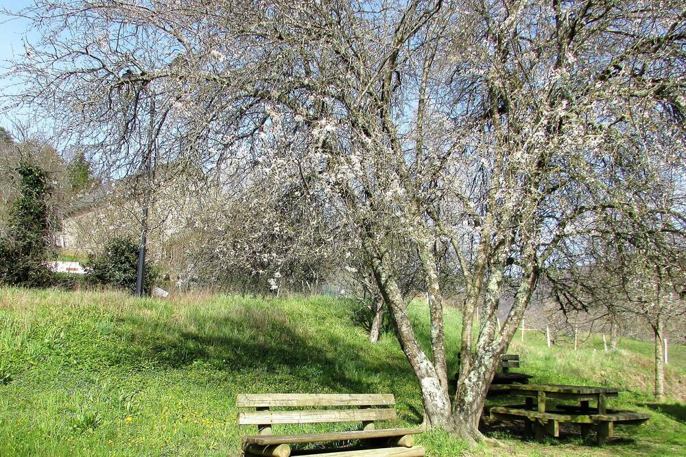 Photo of Outdoor in Saint-Hippolyte