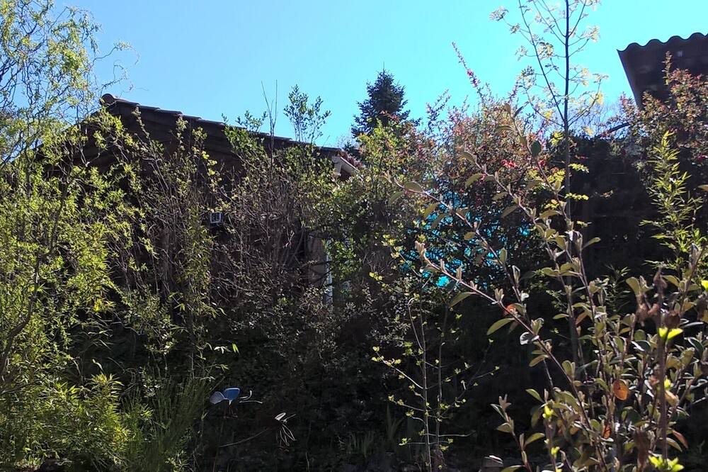 Photo of Outdoor in Chassiers