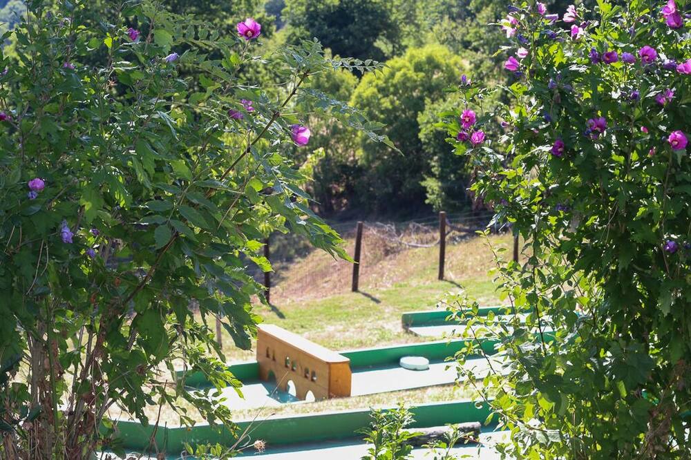 Photo of Outdoor in Linac