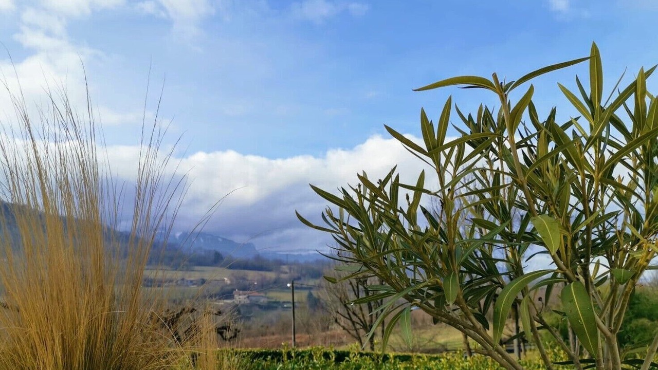 Photo of Outdoor in Brie-et-Angonnes