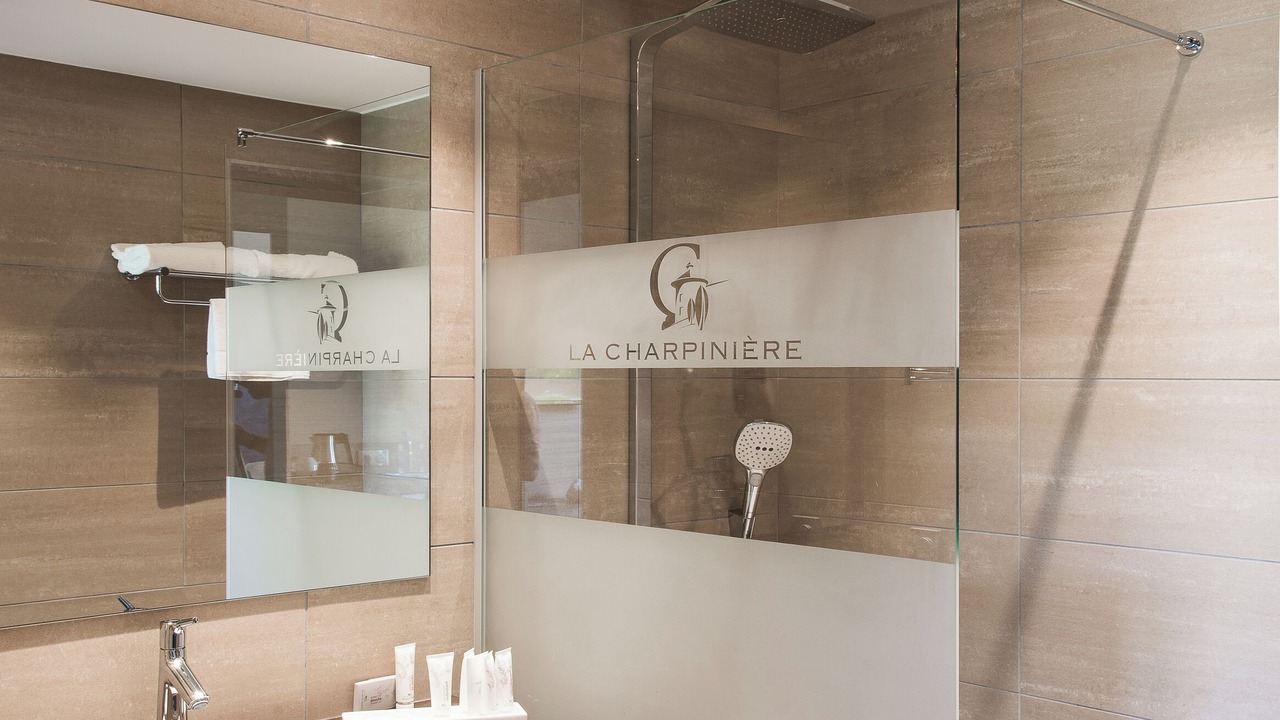 Photo of Bathroom in Saint-Galmier