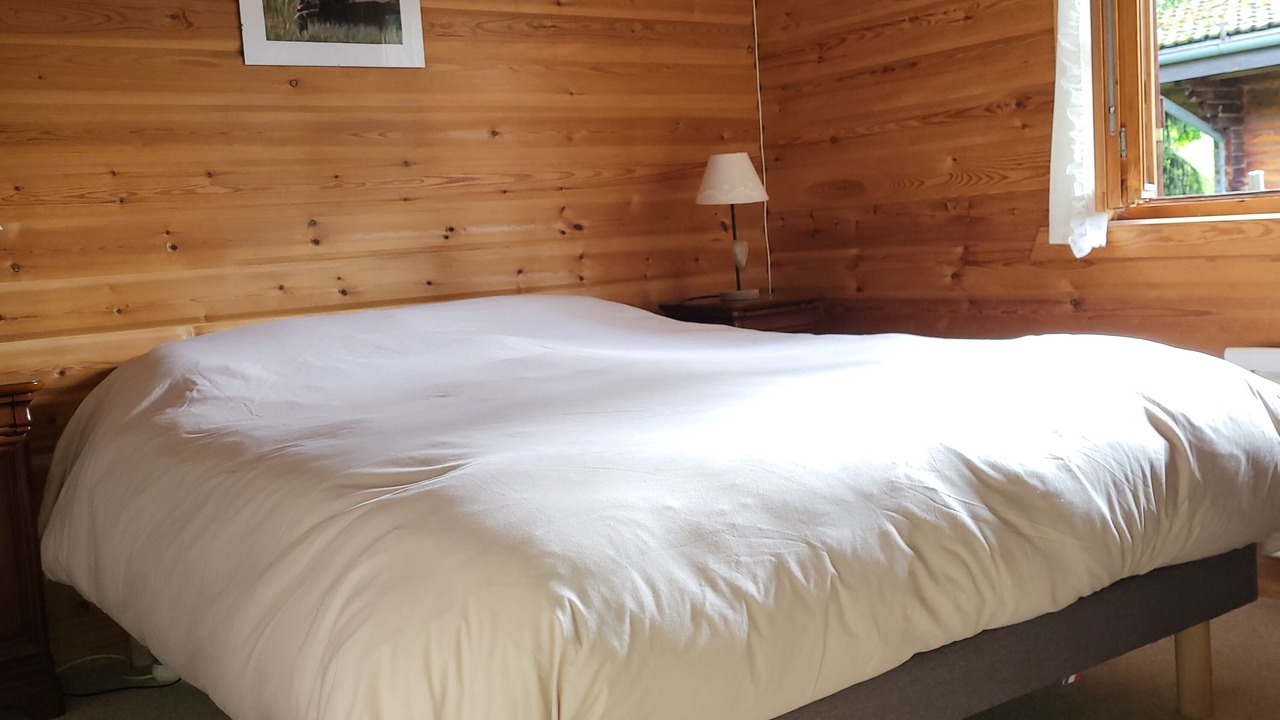 Photo of Others in Montriond