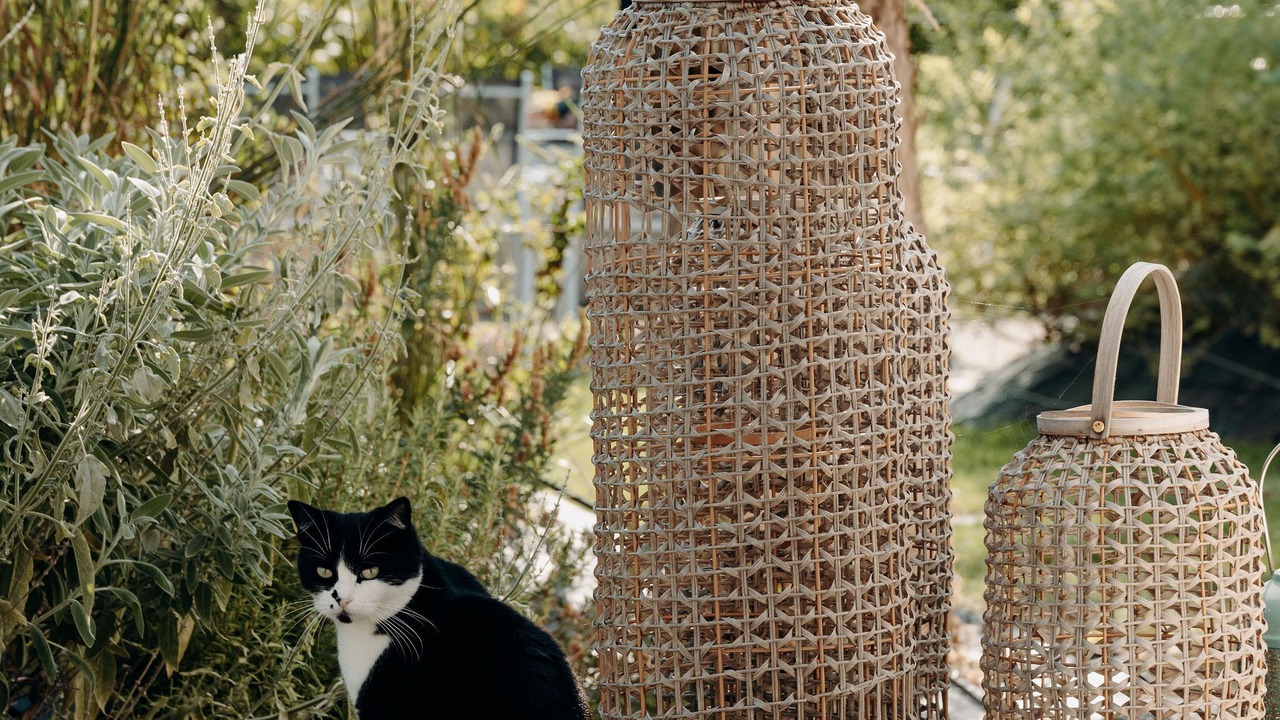 Photo of Outdoor in Cluses