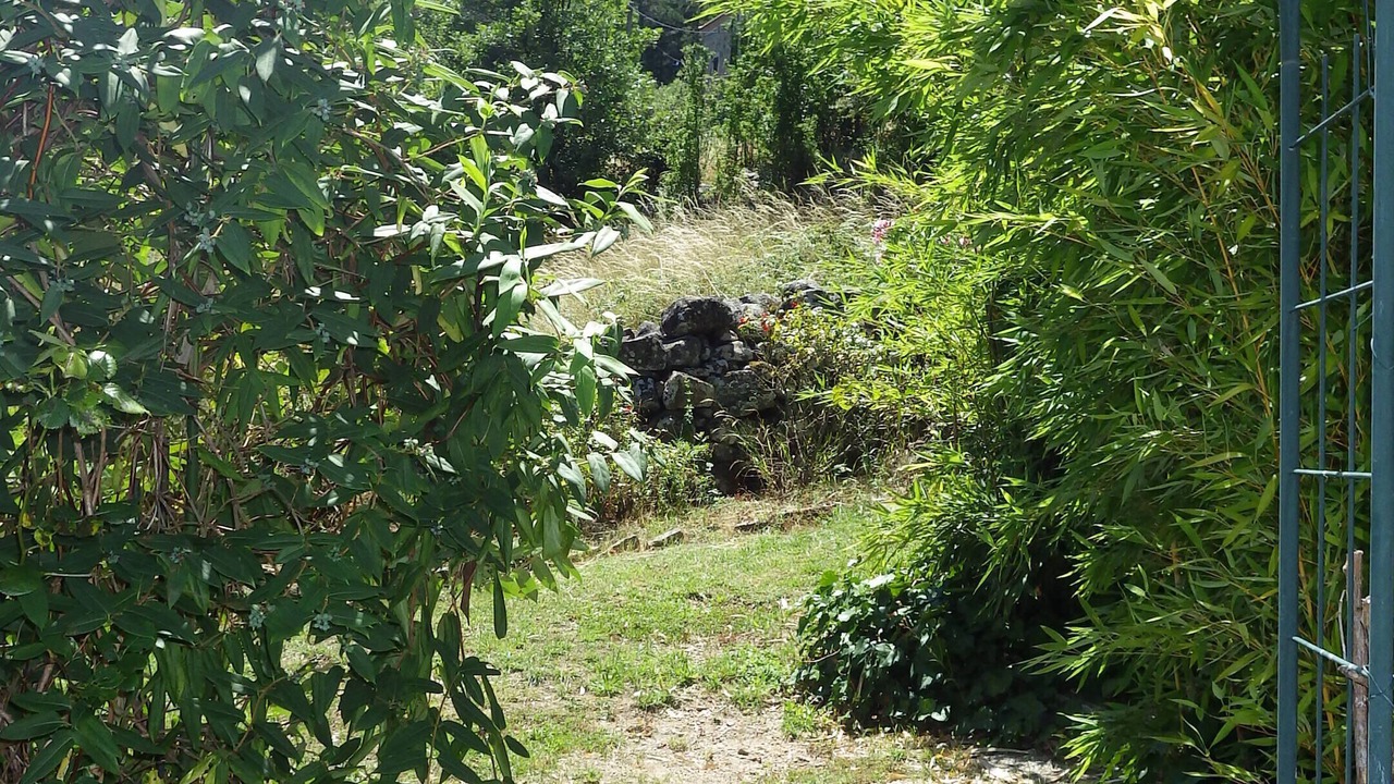 Photo of Outdoor in Chassiers