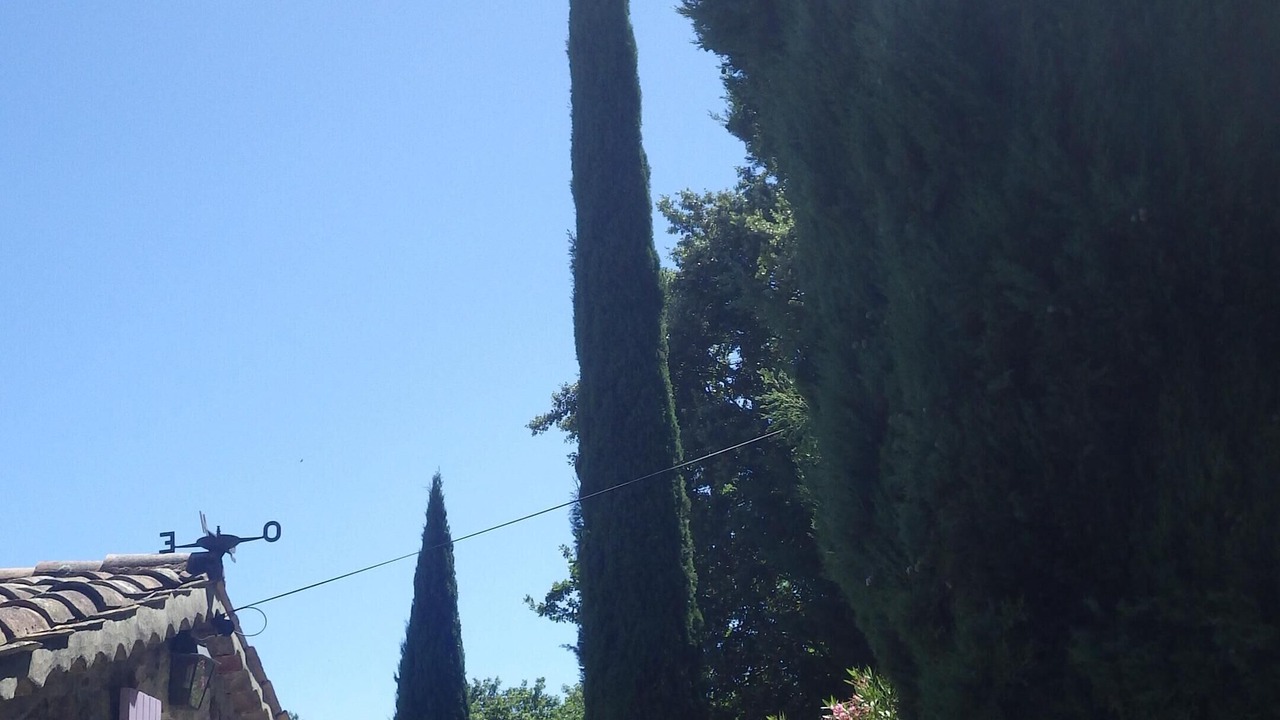 Photo of Outdoor in Chassiers