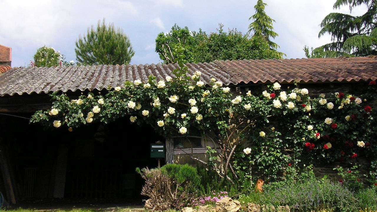 Photo of Outdoor in Flagnac