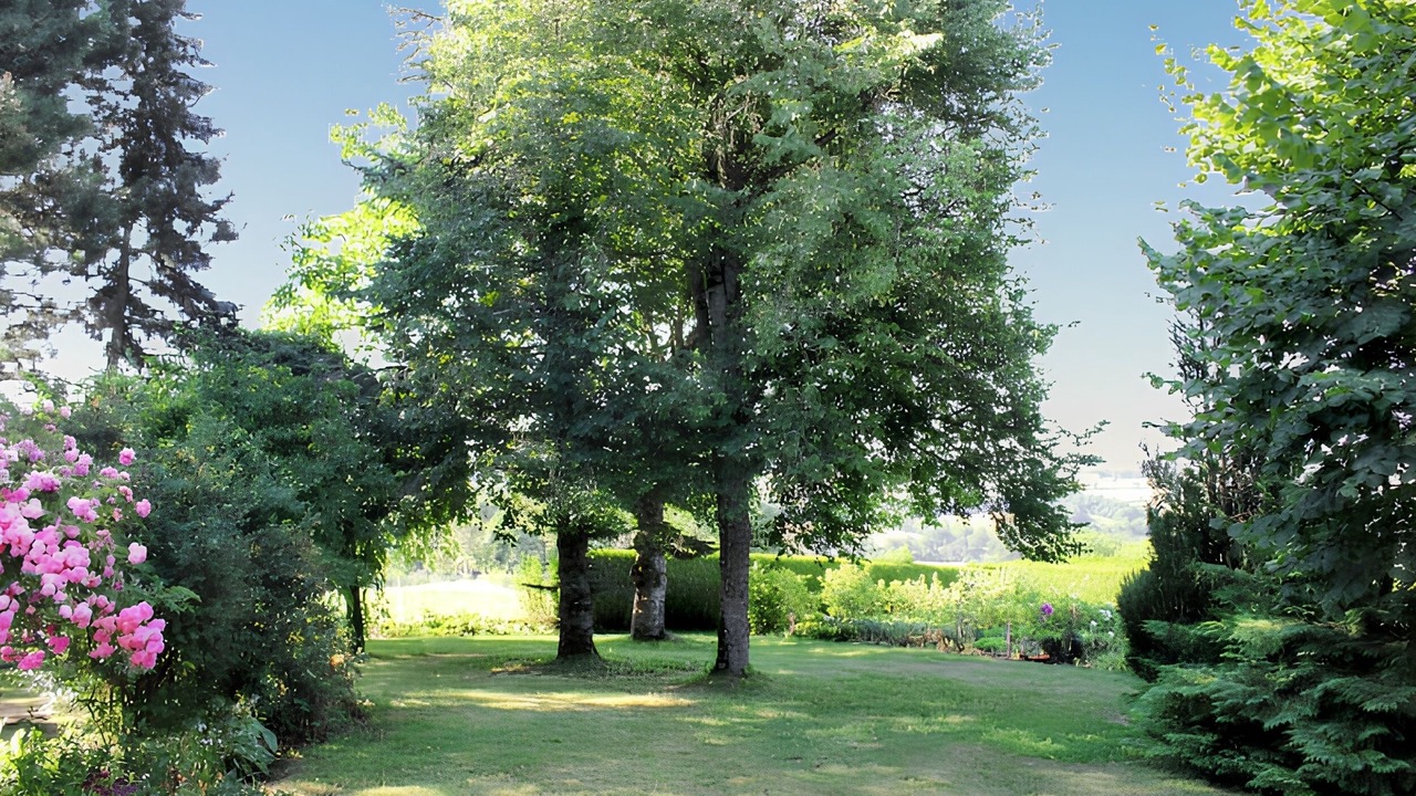 Photo of Outdoor in Mur-de-Barrez