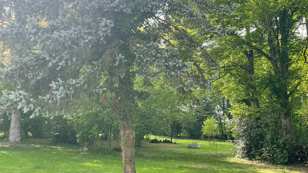 Photo of Others in La Batie-Montgascon