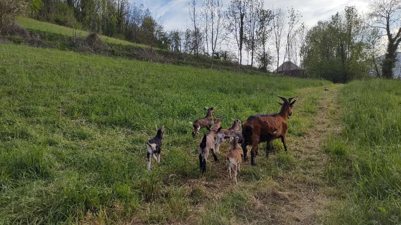 Photo of Others in Saint-Laurent-en-Royans
