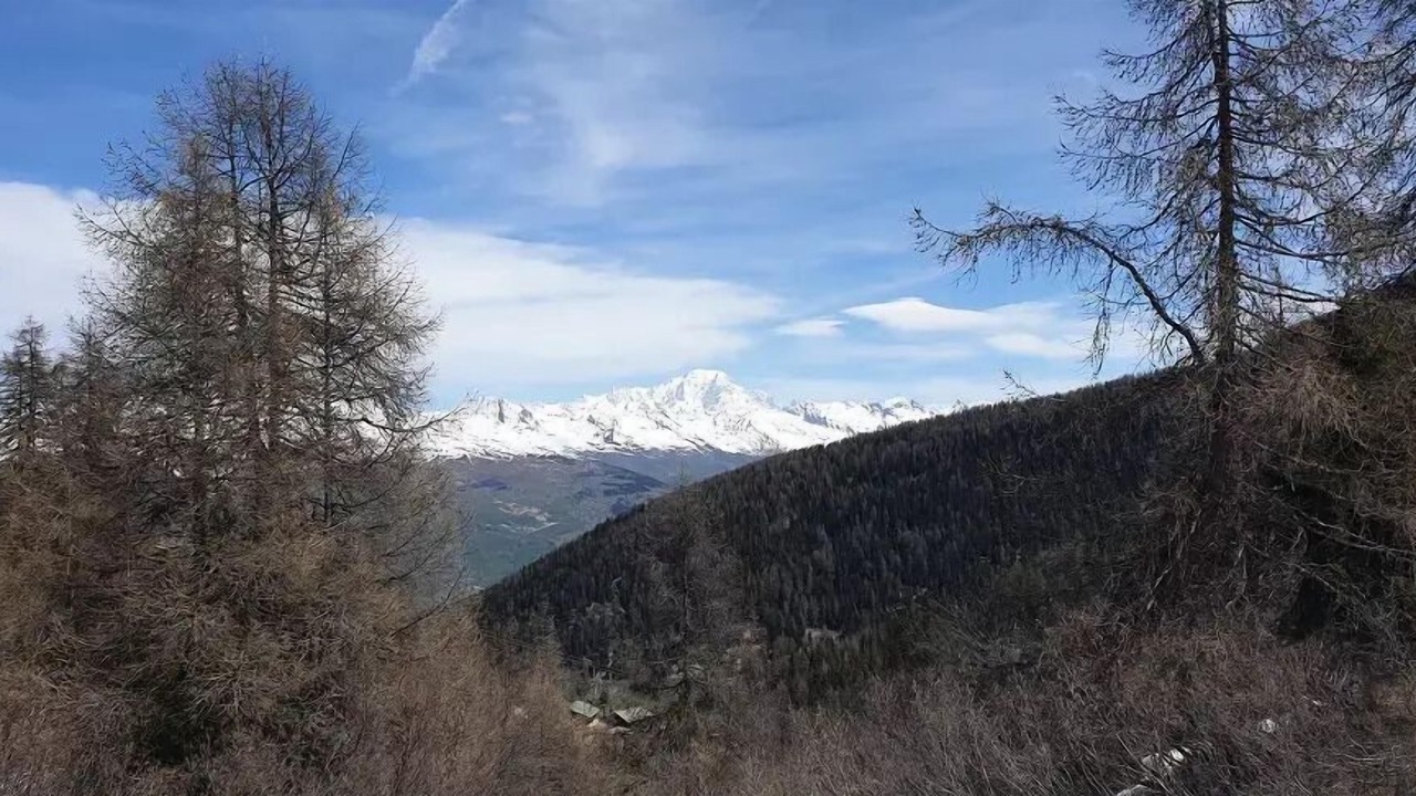 Photo of Others in Plagne 1800