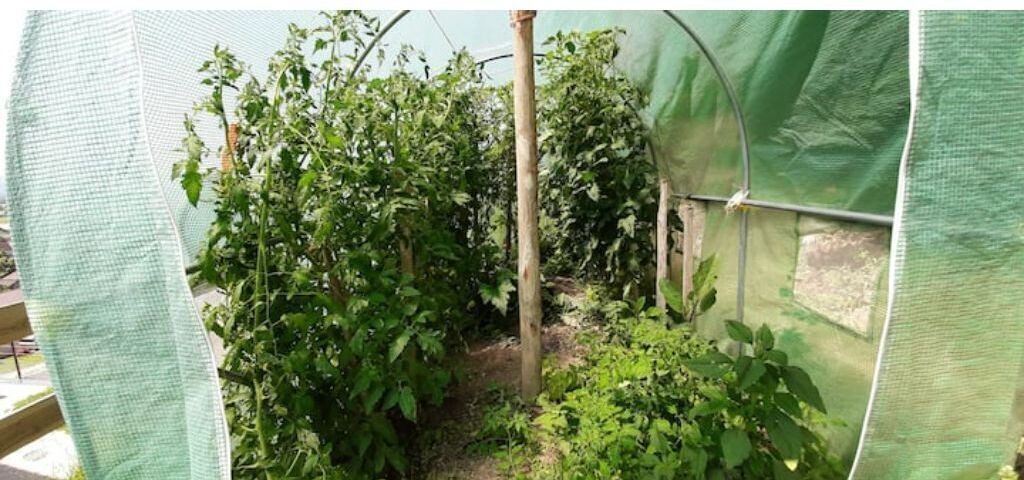 Photo of Outdoor in Colombe