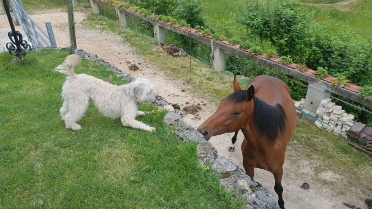Photo of Outdoor in Saint-Genix-sur-Guiers