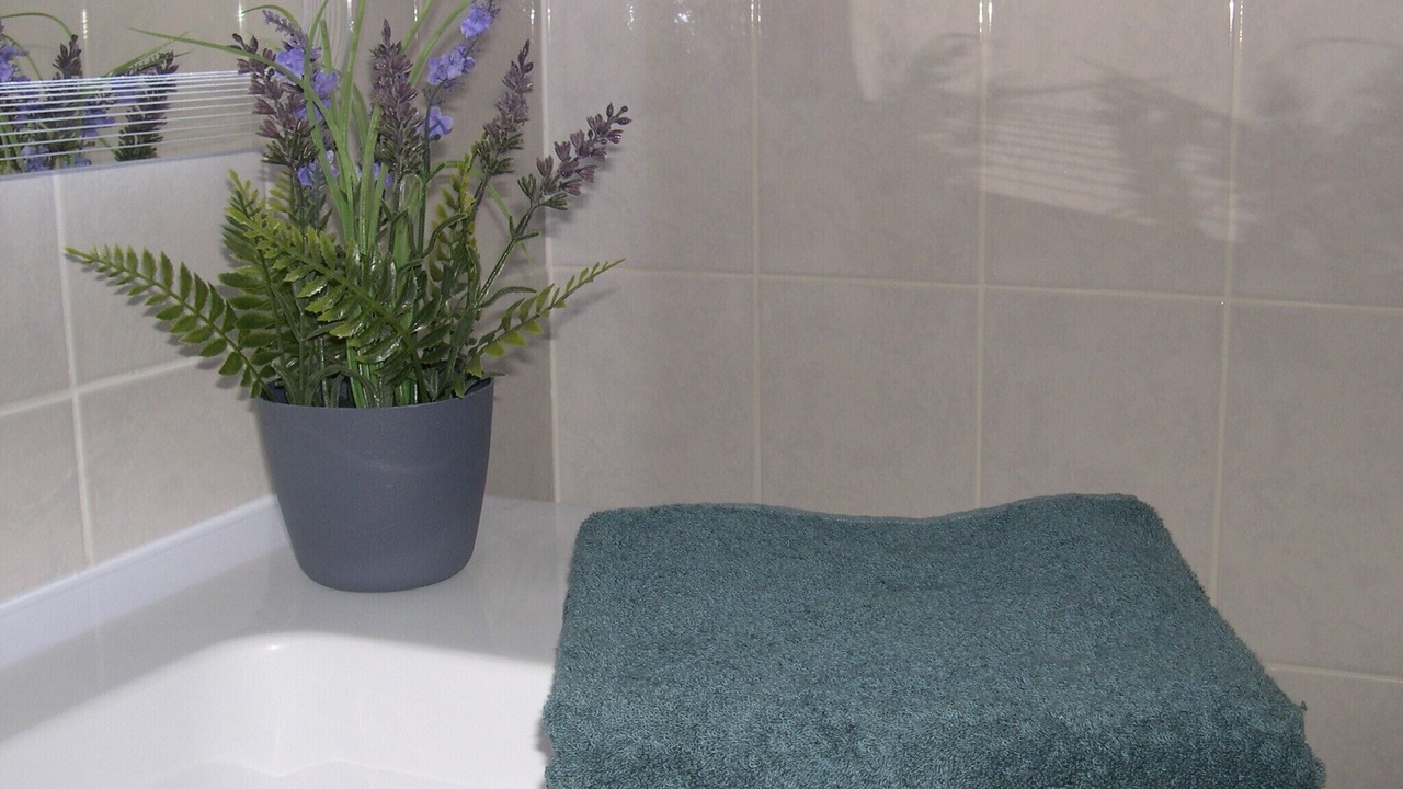 Photo of Bathroom in Chauzon