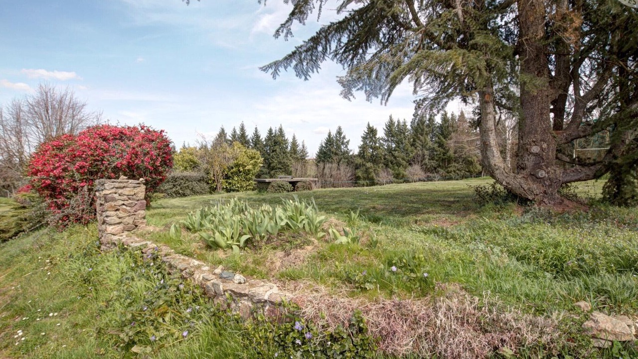 Photo of Outdoor in Saint-Medard-en-Forez