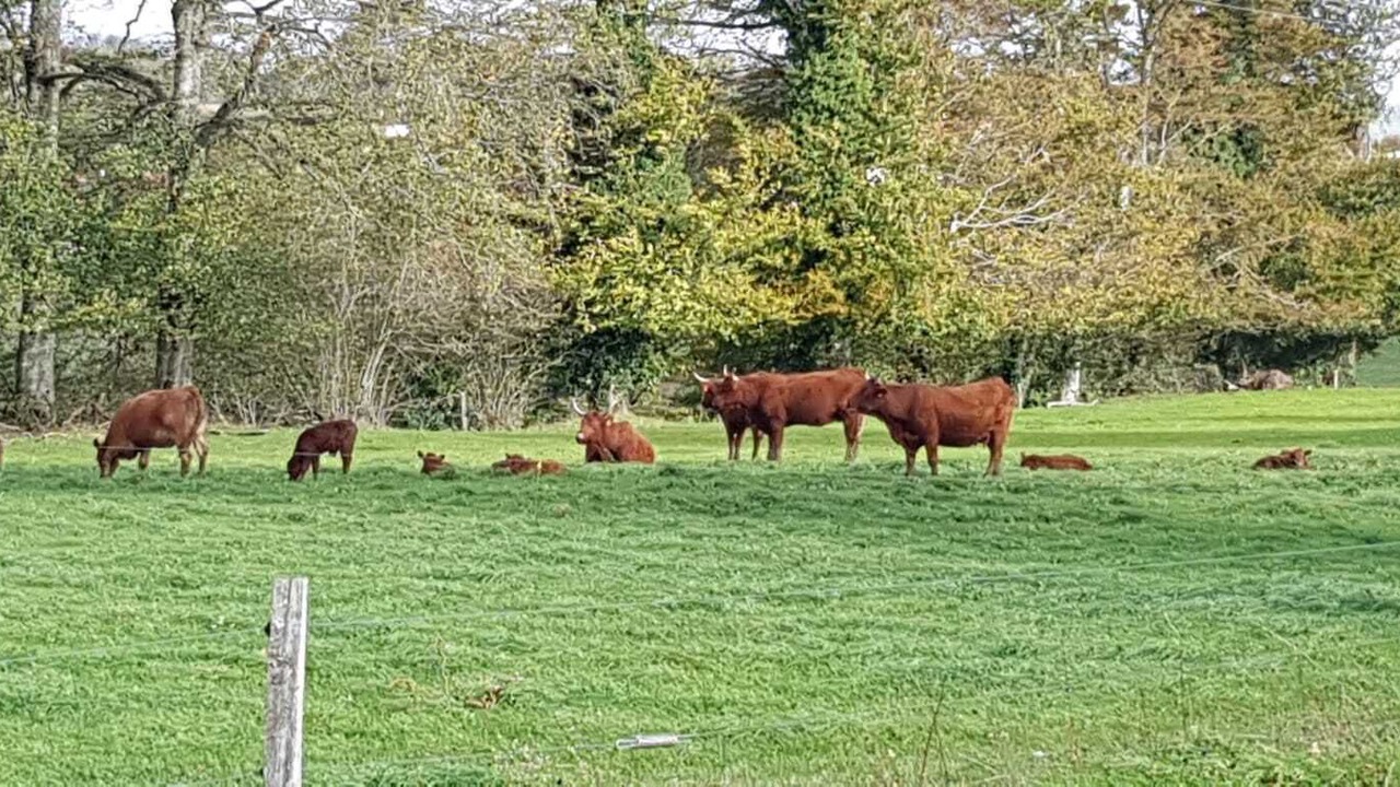 Photo of Others in Teissieres-de-Cornet
