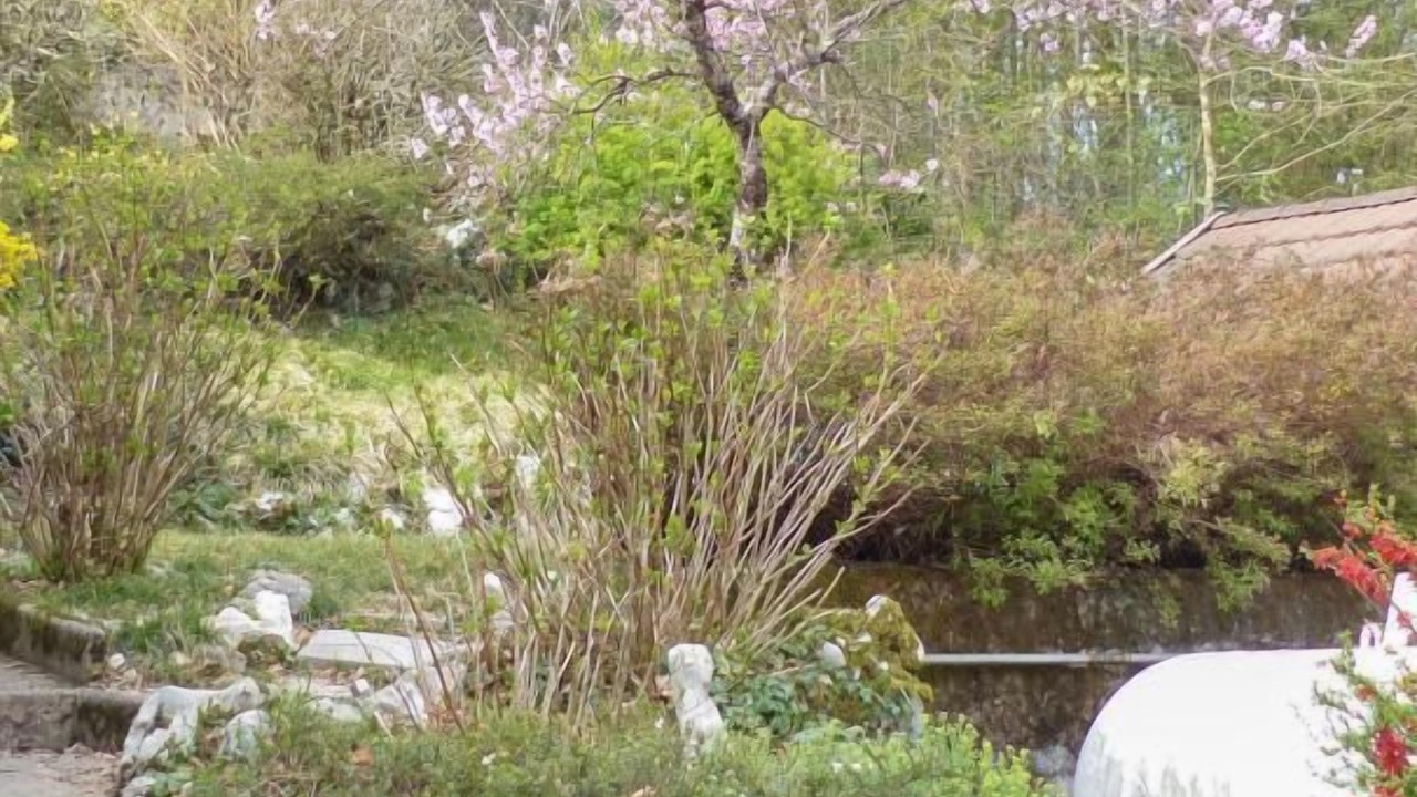 Photo of Outdoor in Lepin-le-Lac