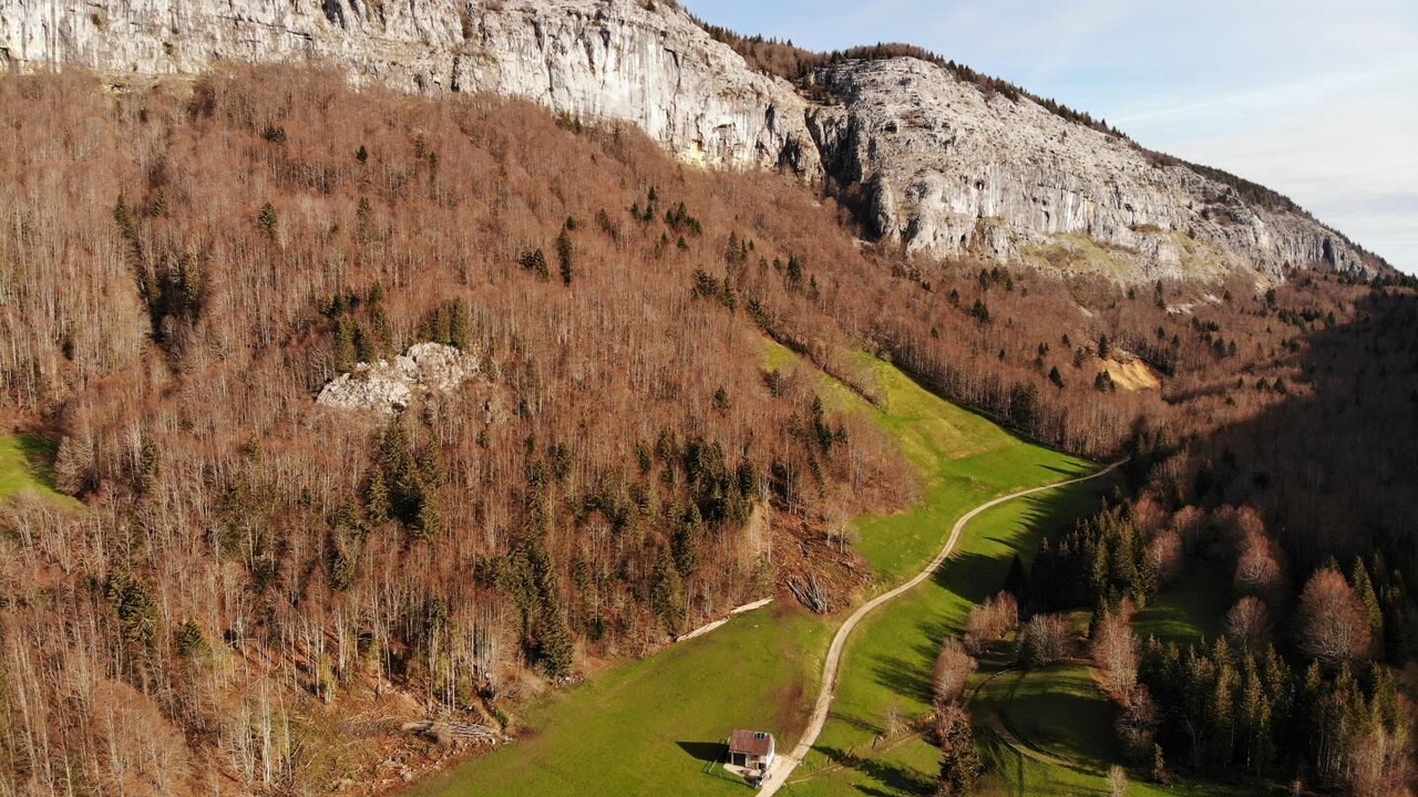 Photo of Outdoor in Entremont-le-Vieux