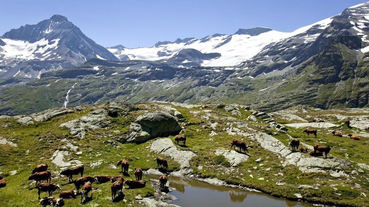 Photo of Others in Lanslevillard