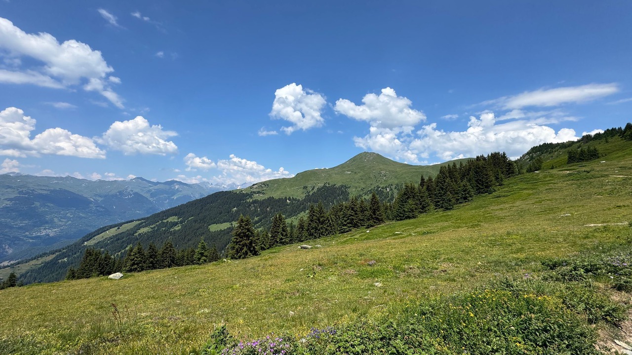 Photo of Others in Great Alpine Road