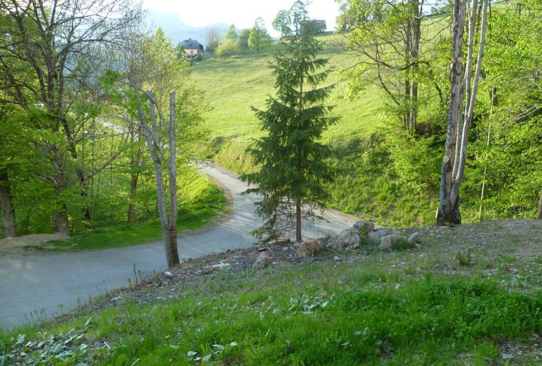 Photo of Outdoor in Notre-Dame-de-Bellecombe