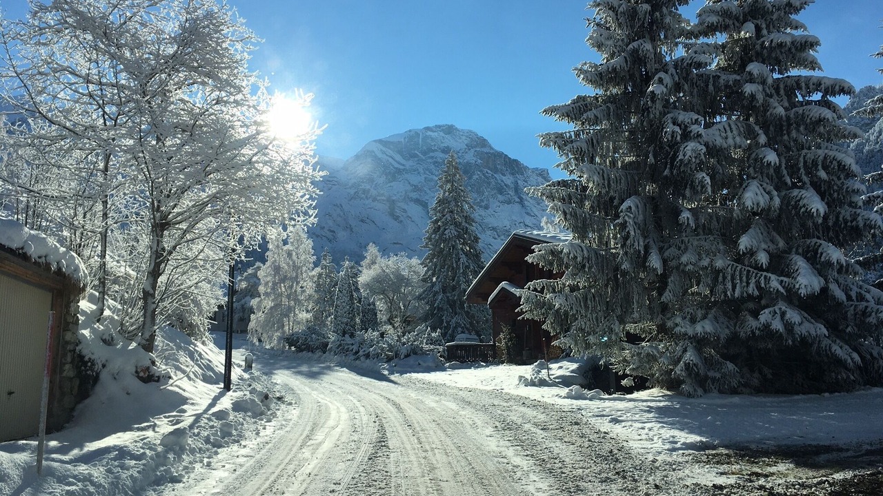 Photo of Others in Pralognan-la-Vanoise
