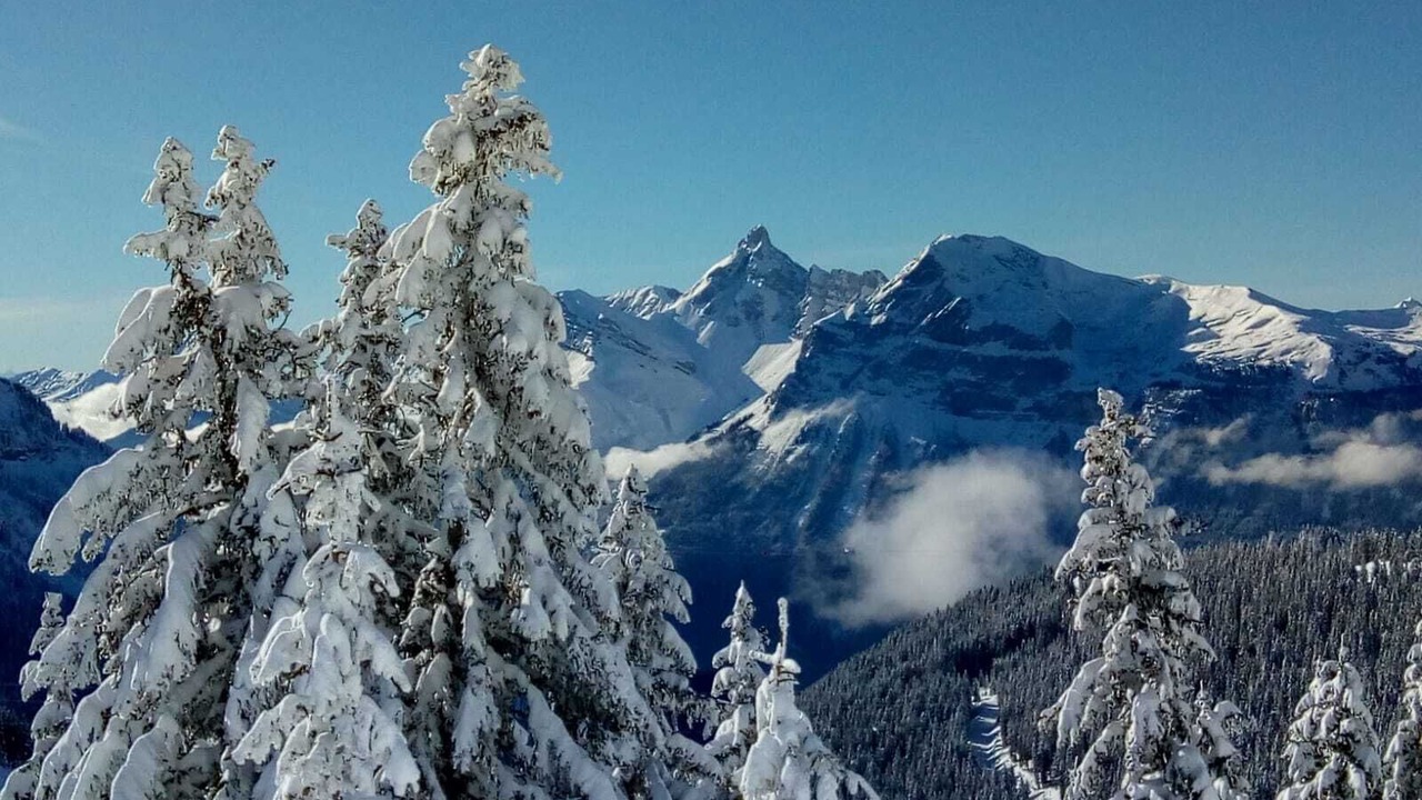 Photo of Others in Samoens