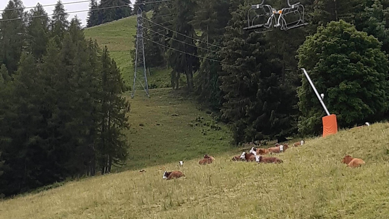 Photo of Outdoor in Bellentre