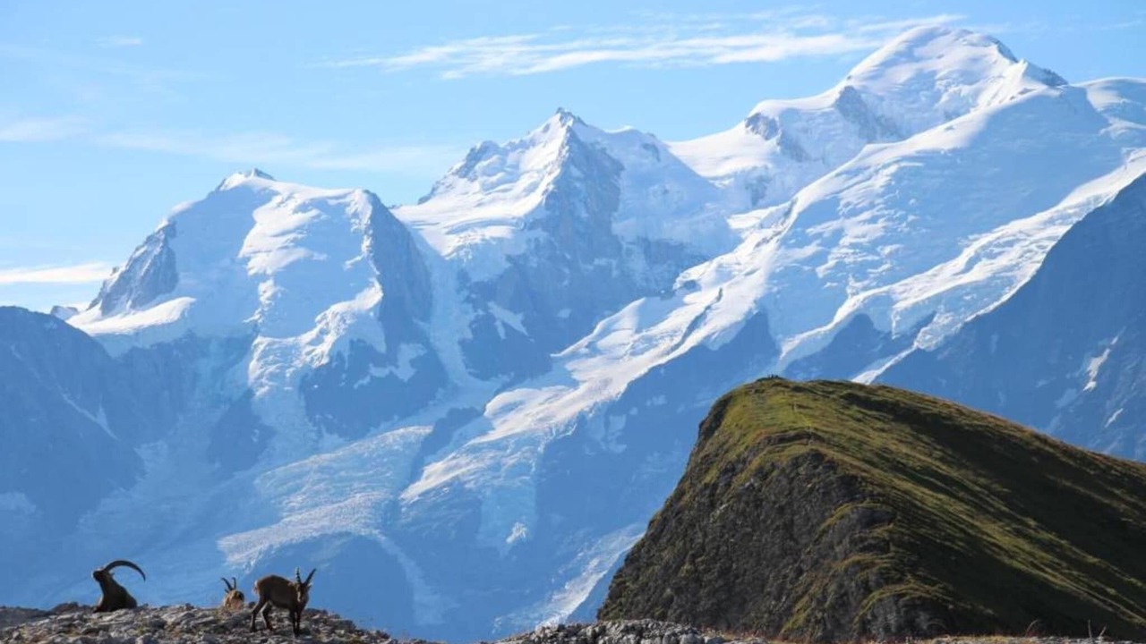 Photo of Others in Flaine