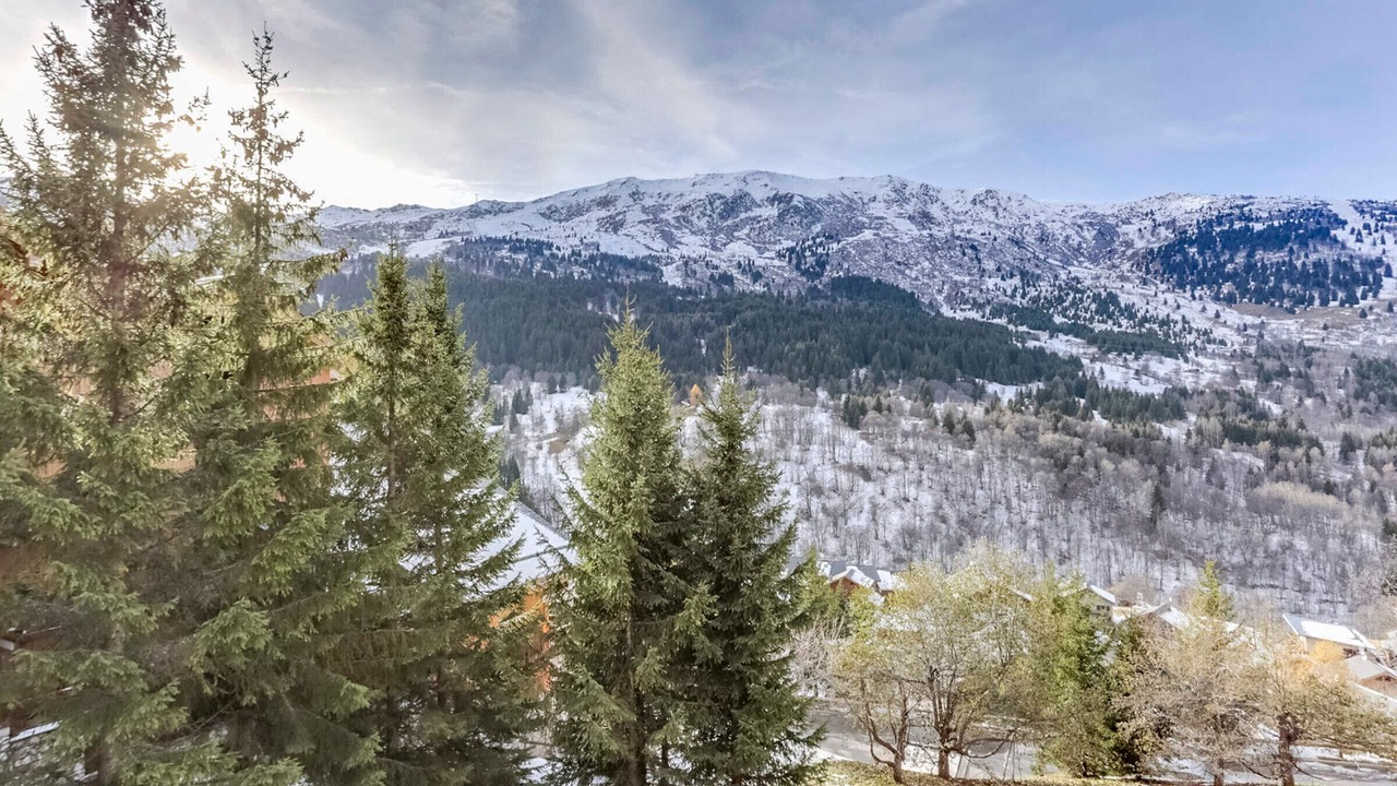 Photo of Others in Meribel
