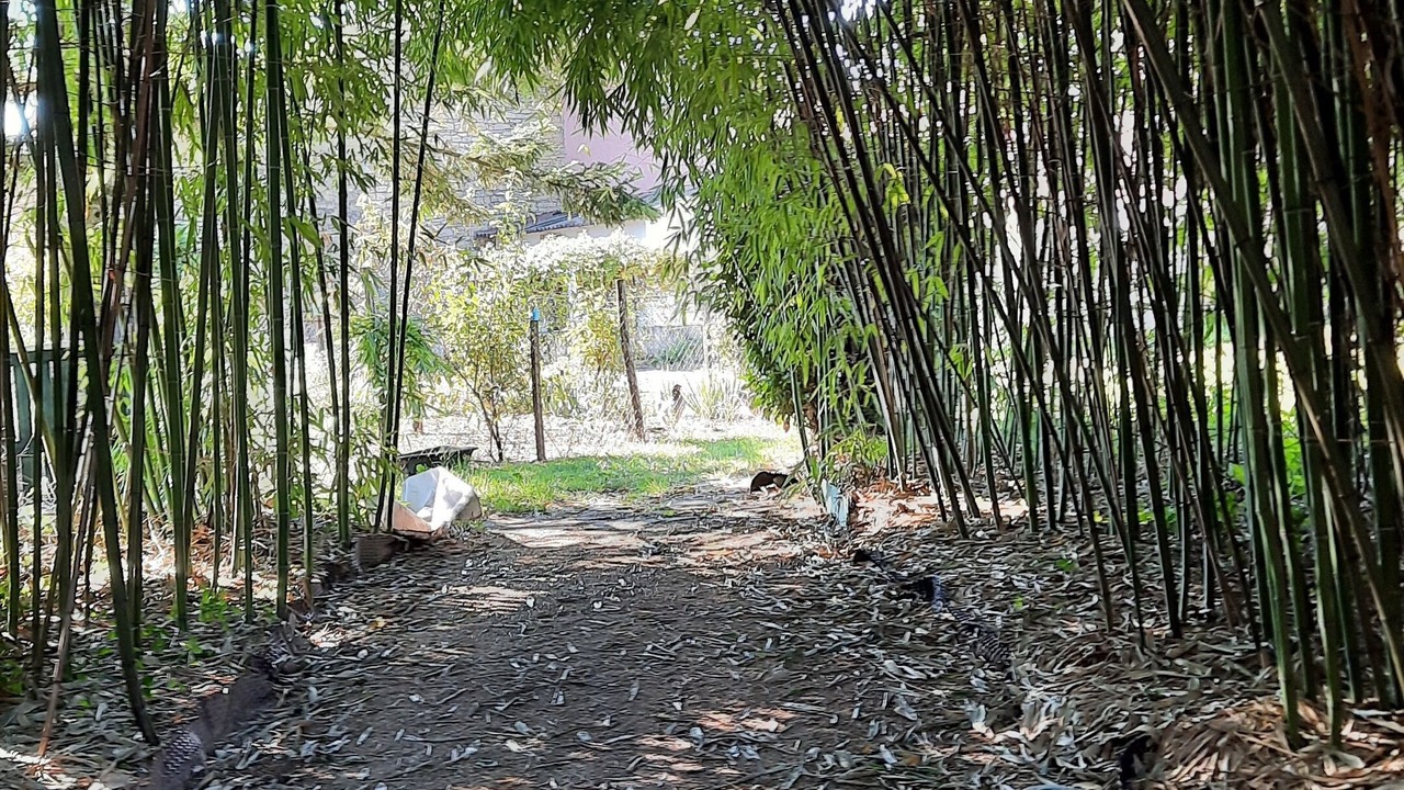 Photo of Outdoor in Proulieu