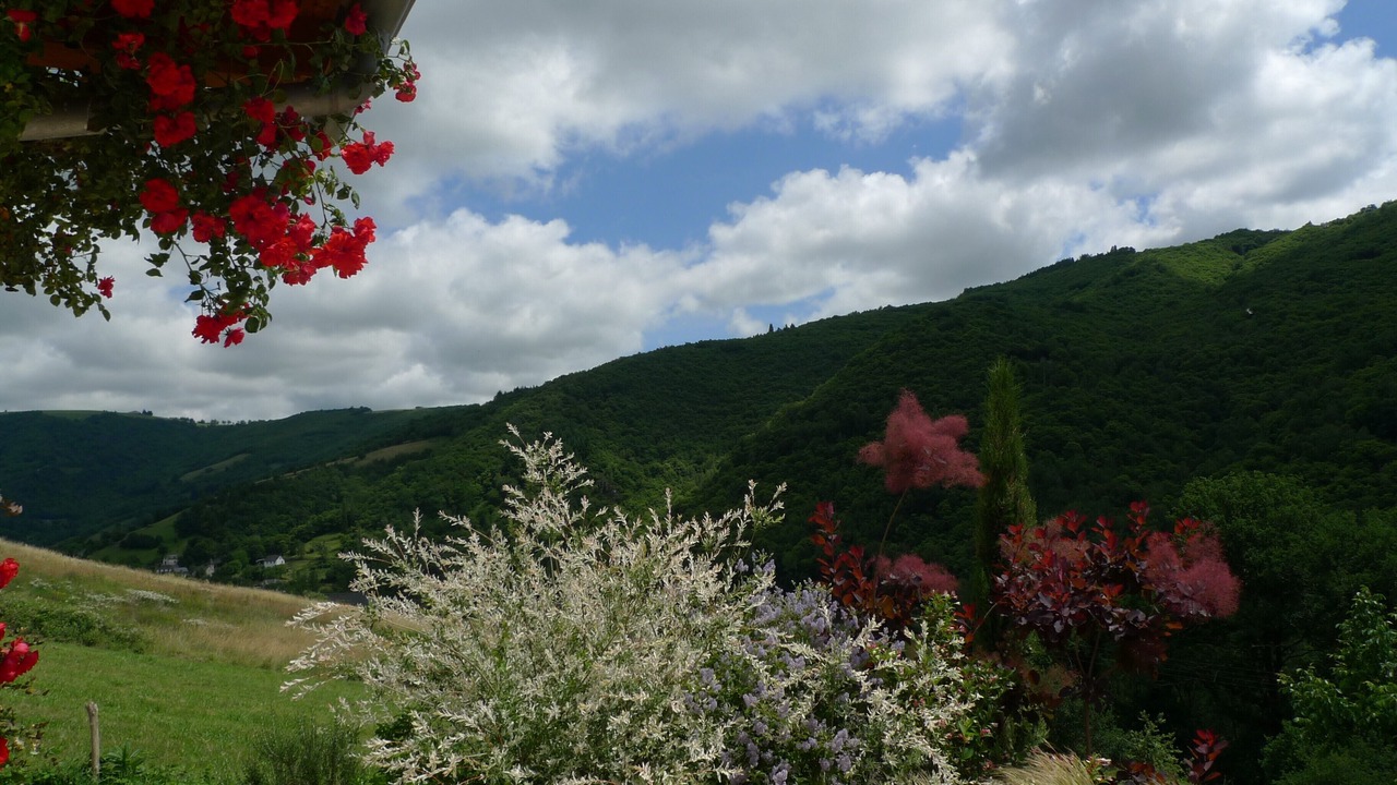 Photo of Outdoor in Montsalvy