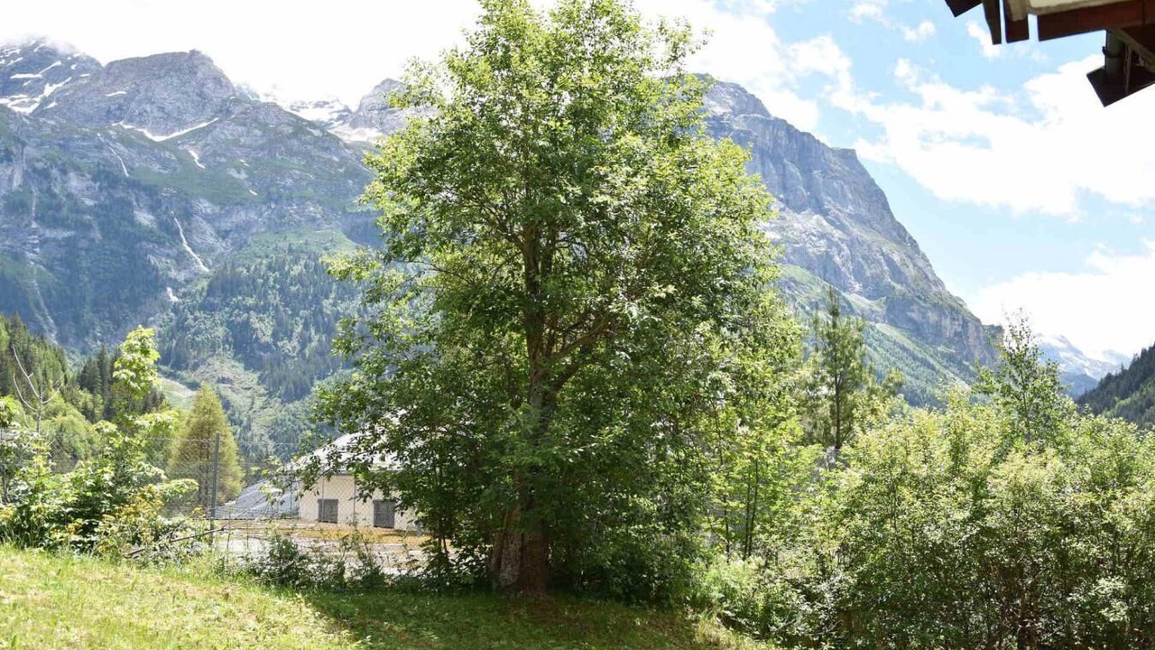 Photo of Outdoor in Pralognan-la-Vanoise