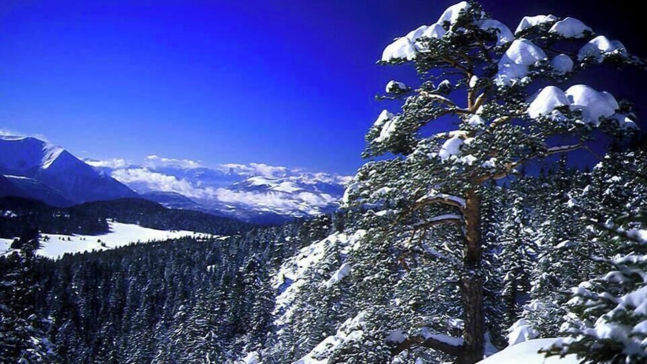 Photo of Others in Chamrousse